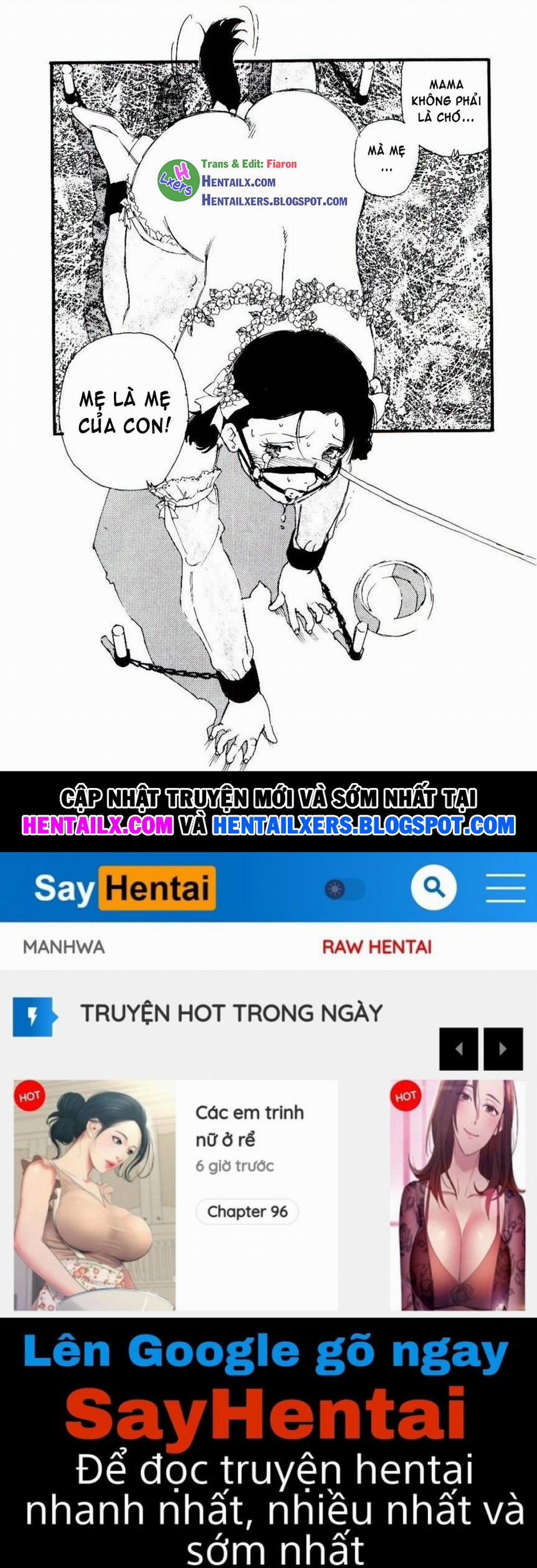 Volunteer Breeding 5 trang 17