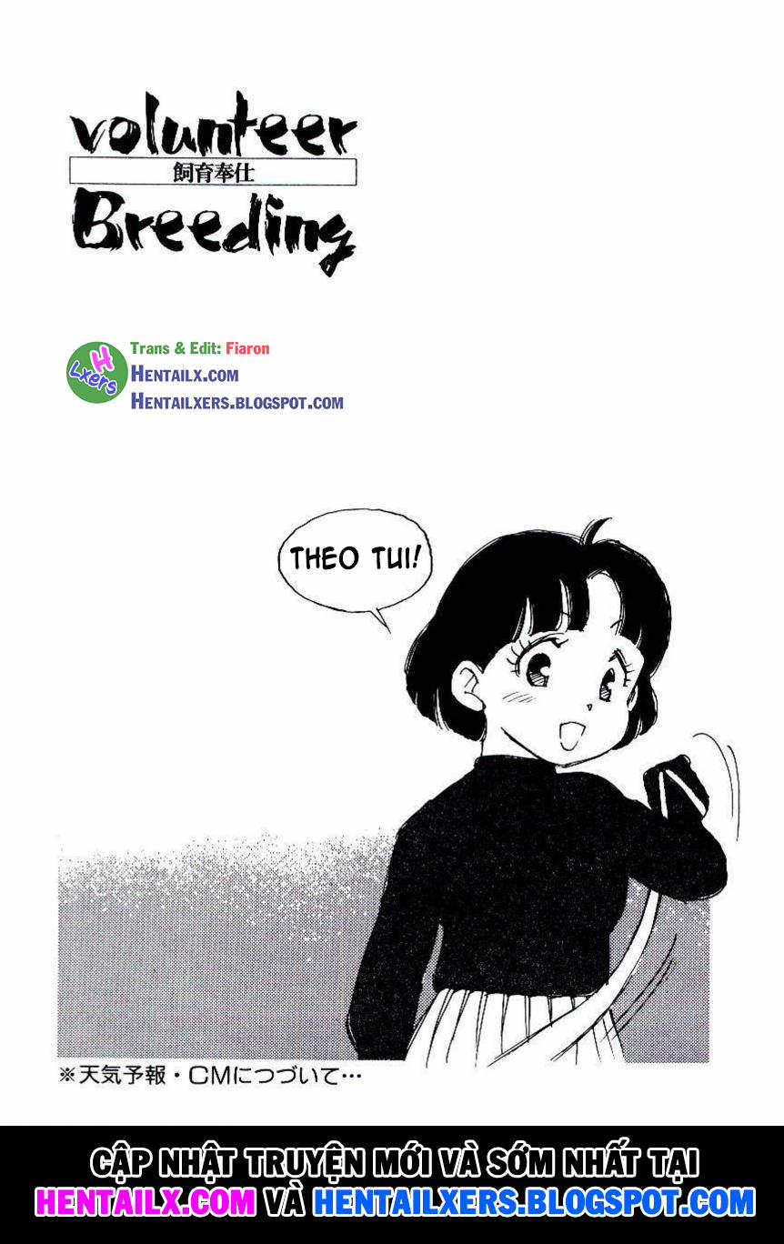 Volunteer Breeding 8 trang 25