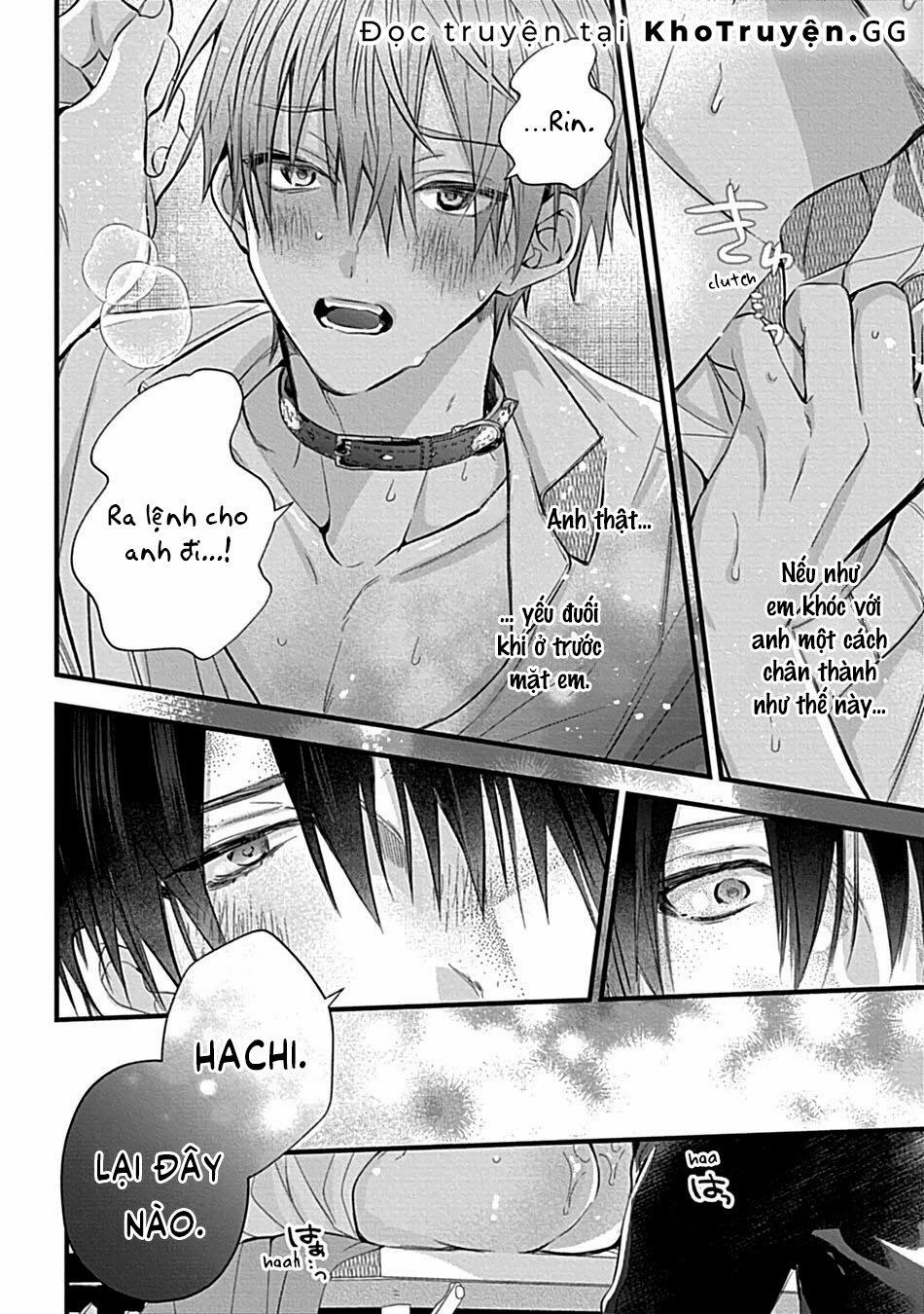 Vòng Cổ Của Hachi 1 trang 27