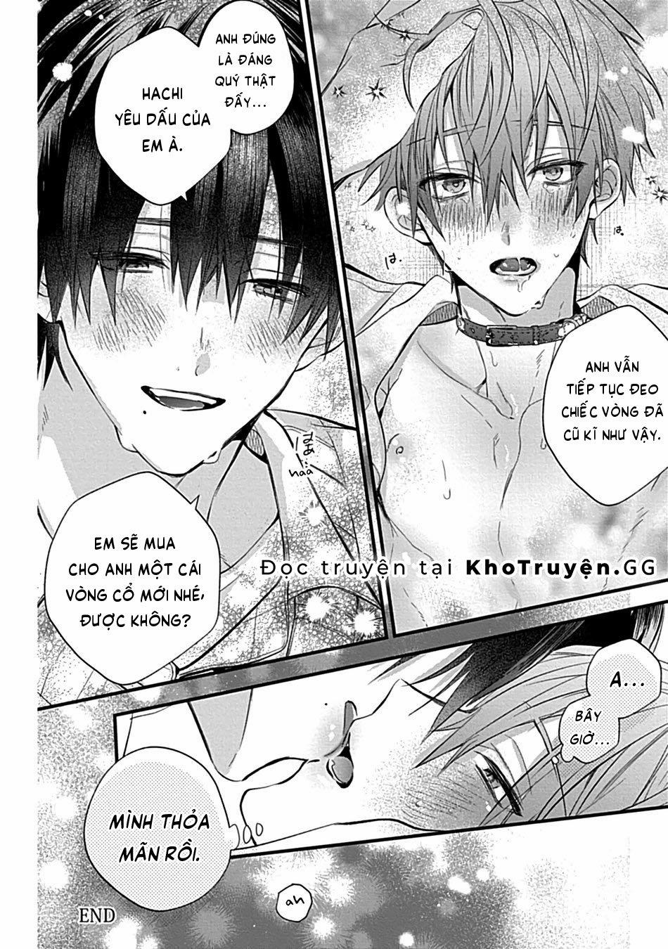 Vòng Cổ Của Hachi 1 trang 31