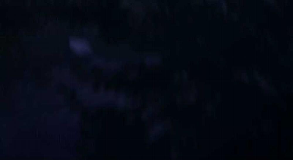 Võng Du Thiên Hạ Vô Song 2 trang 290