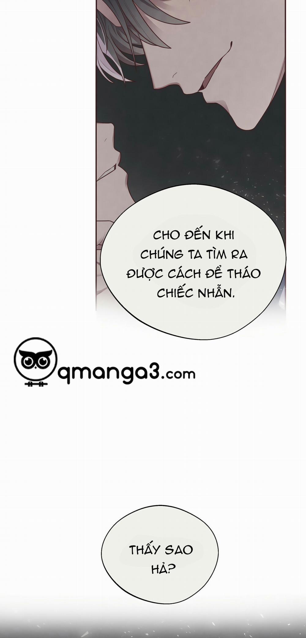 Vòng Quan Hệ 8 trang 39