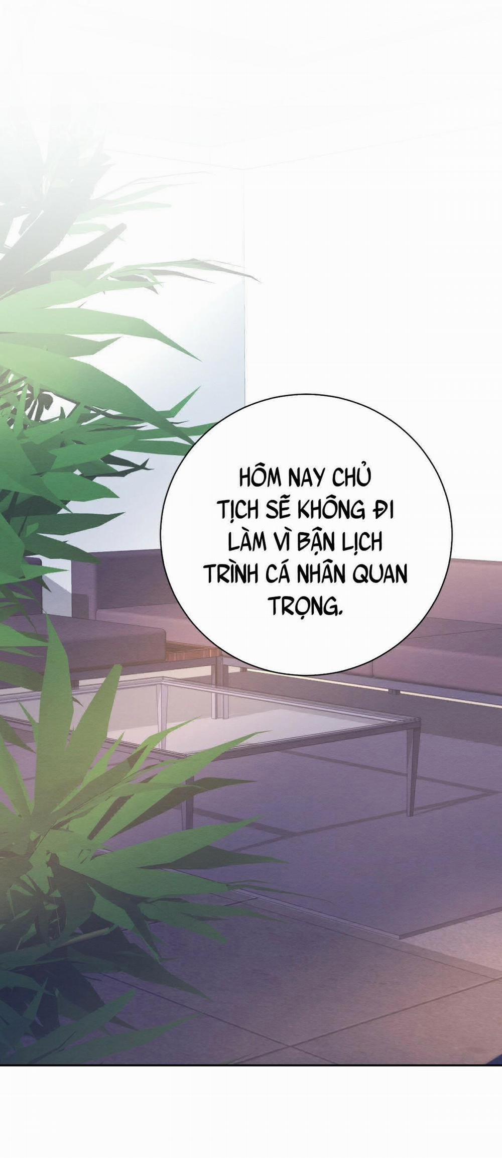 Vòng Xoáy Của Ác Ma 16 trang 0