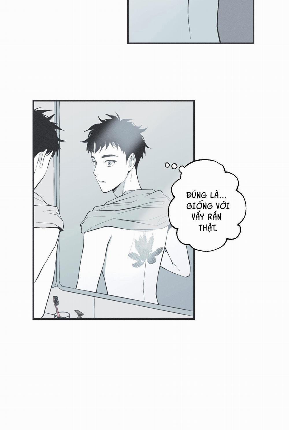 VÒNG XOÁY CỦA RẮN 9 trang 19