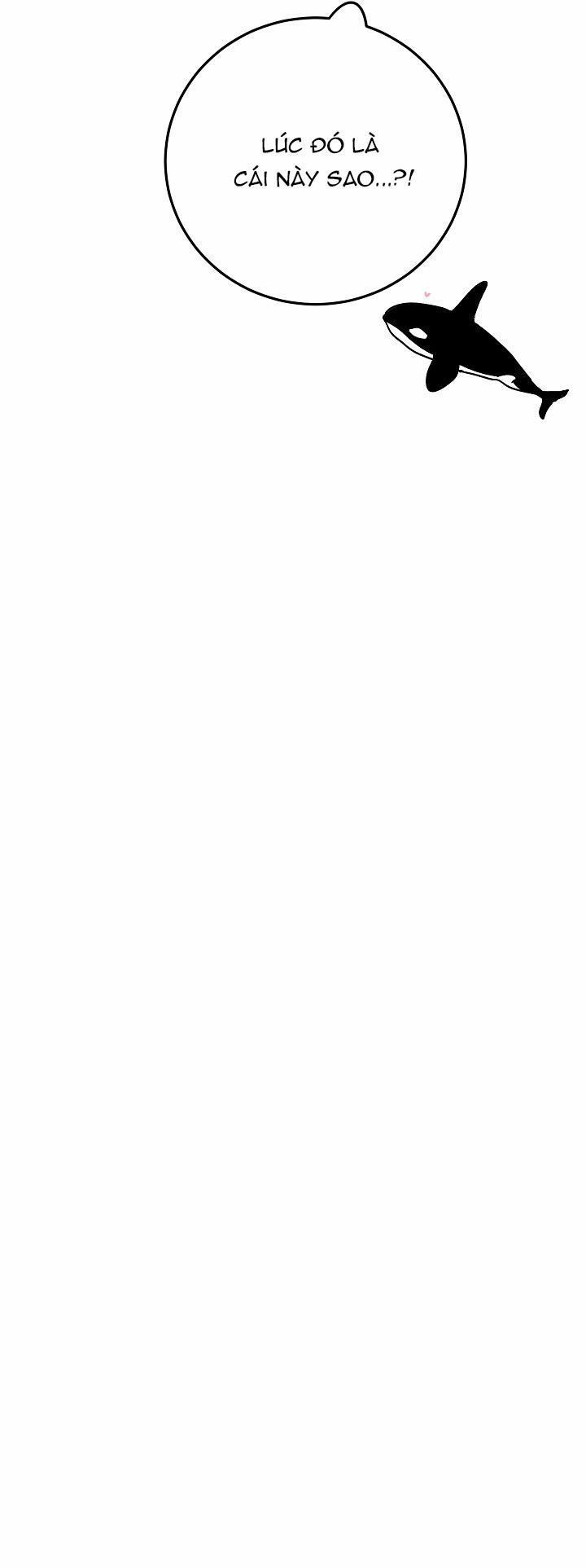 Vụ Án Sóng Thần: Cách Săn Cá Voi Sát Thủ 23 trang 5
