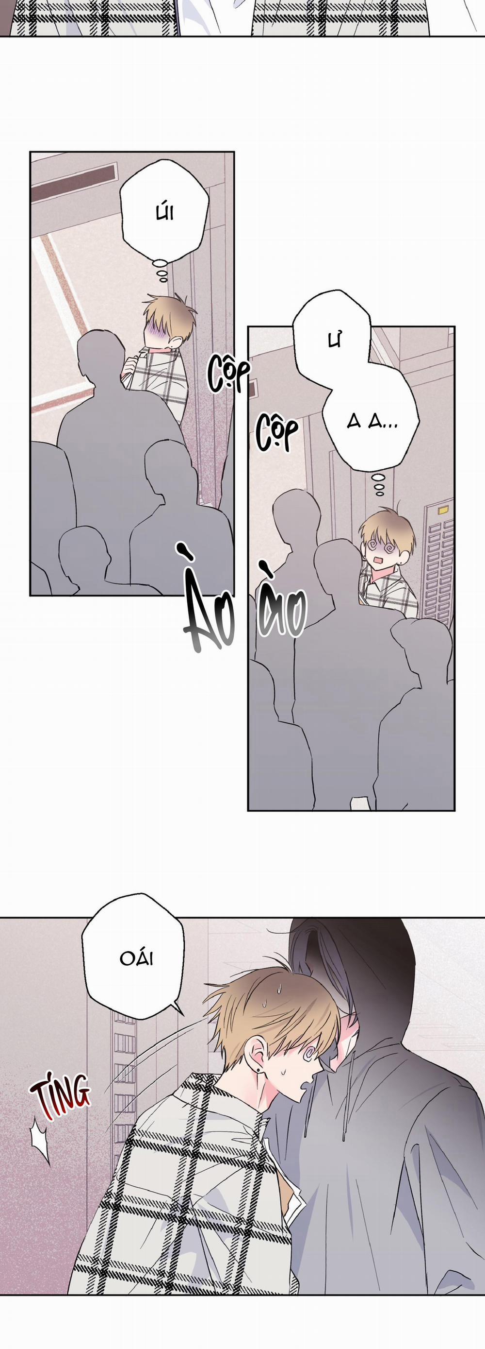 Vụ Bê Bối Của Beta 28 trang 5