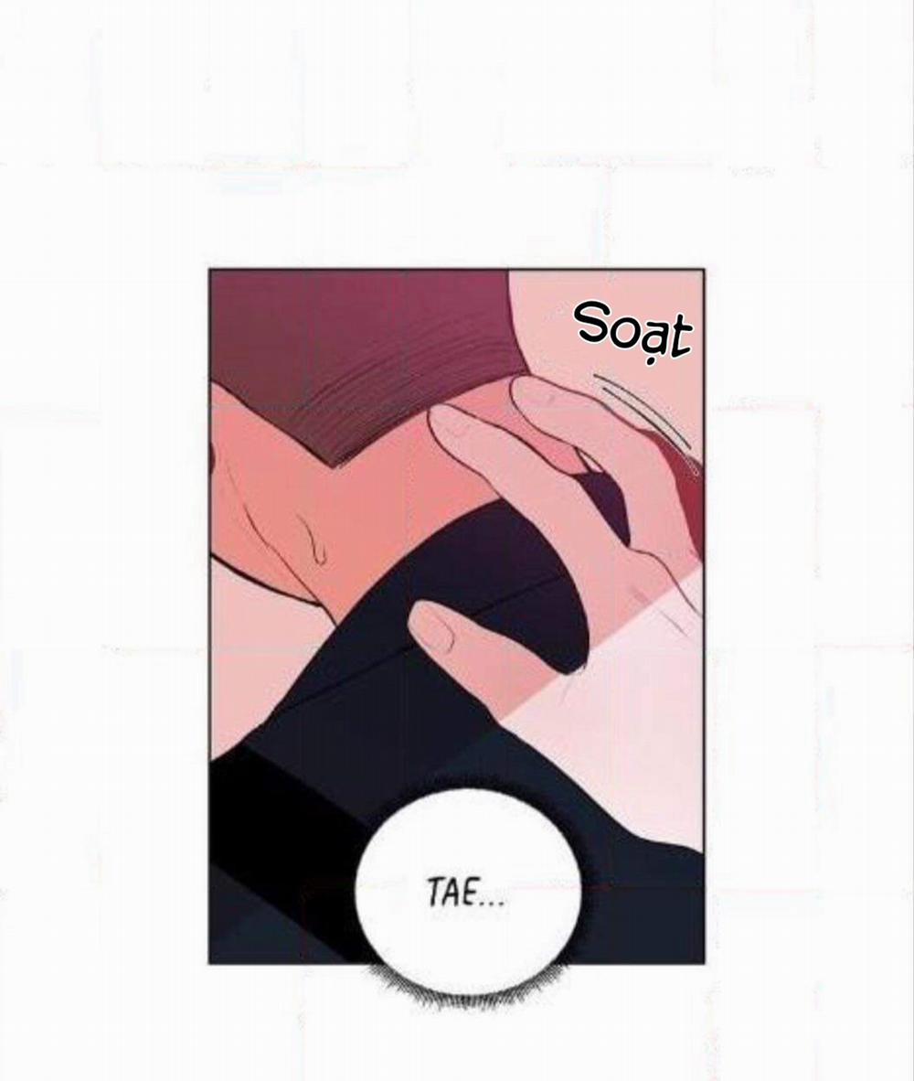 Vụ Tai Tiếng Trái Chuối SS1 22 trang 11