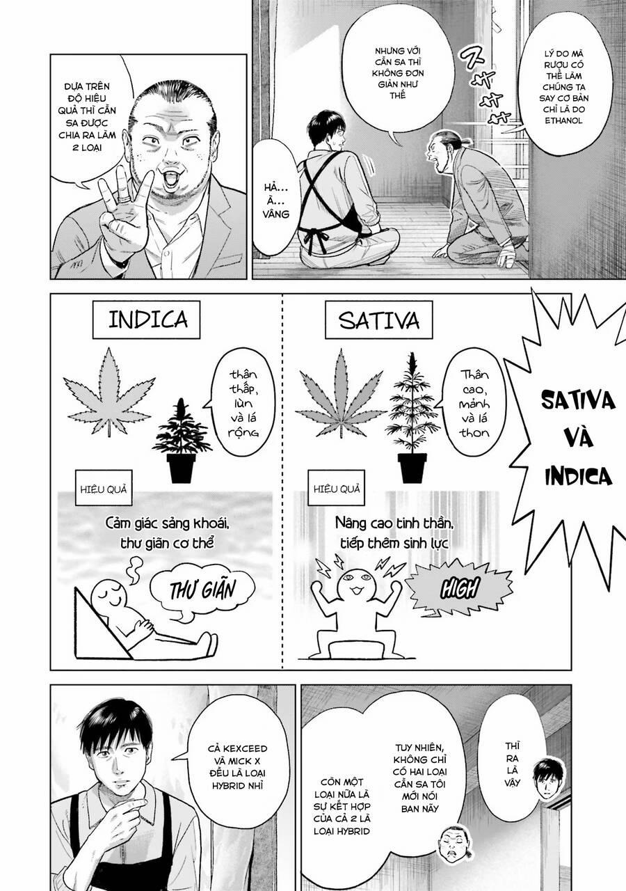 Vua Cần Sa 17 trang 4