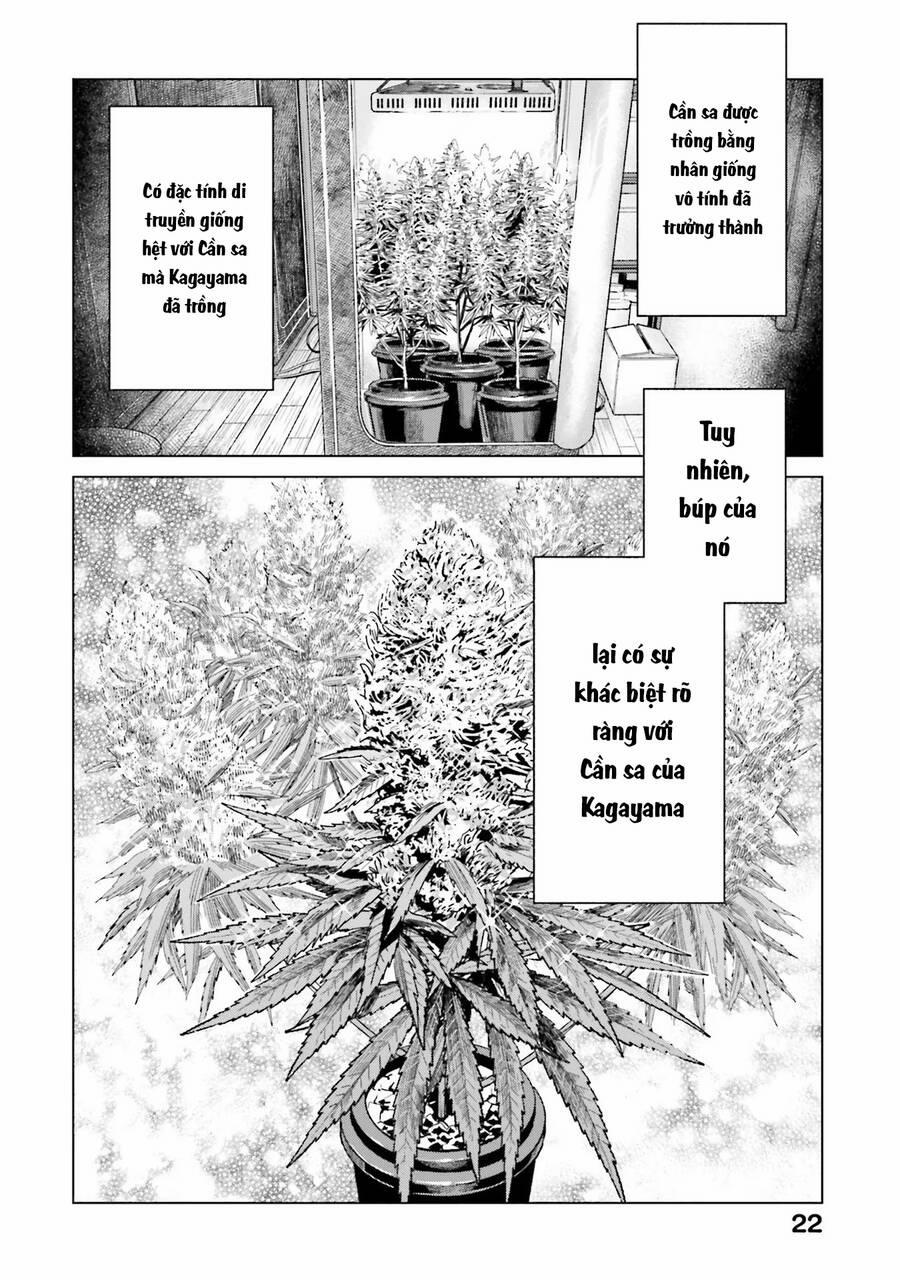 Vua Cần Sa 8 trang 21