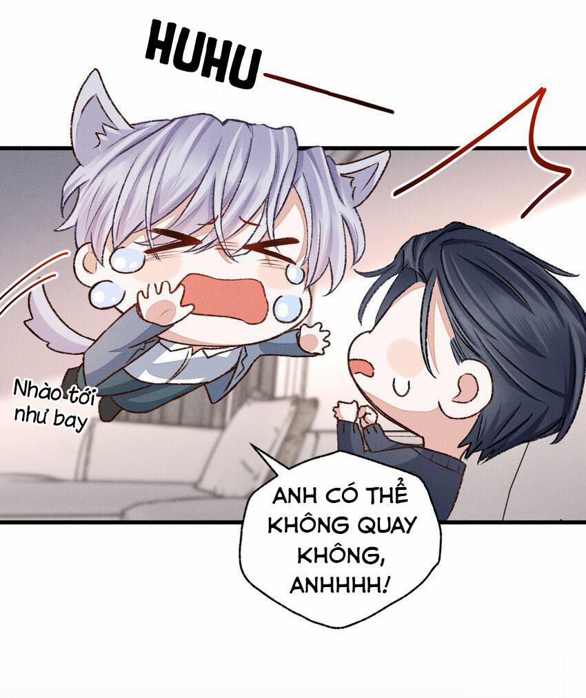 Vua hình tượng 13 trang 6