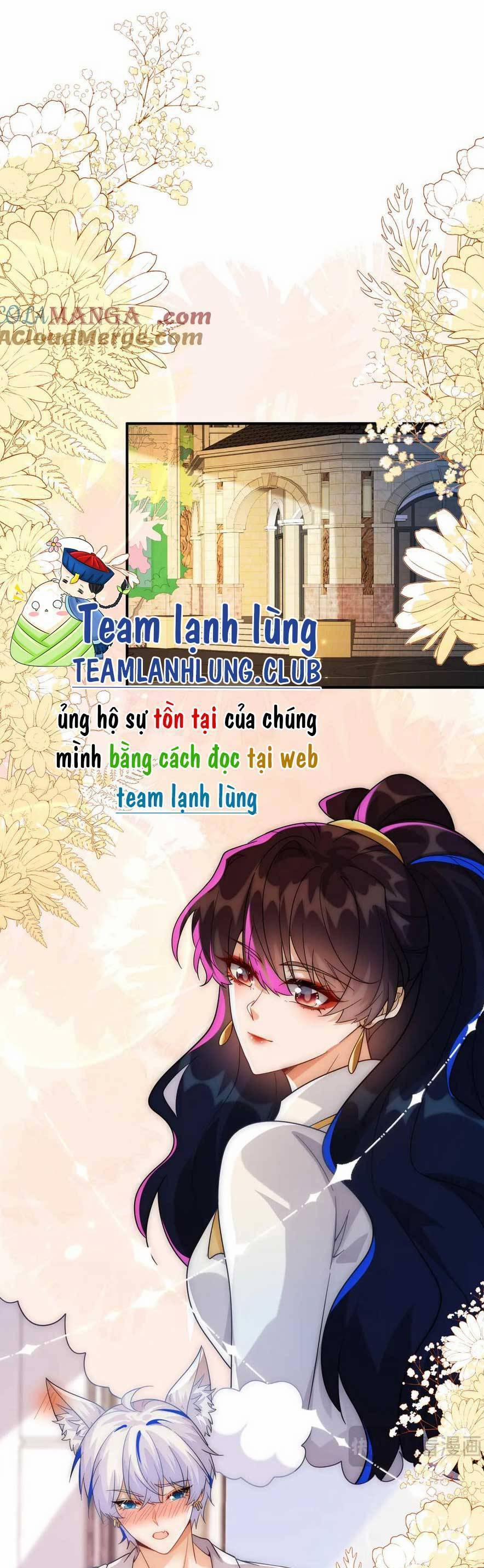 Vừa Mới Huỷ Hôn Đã Bị Dã Hồ Ly Lừa Kết Hôn 49 trang 0