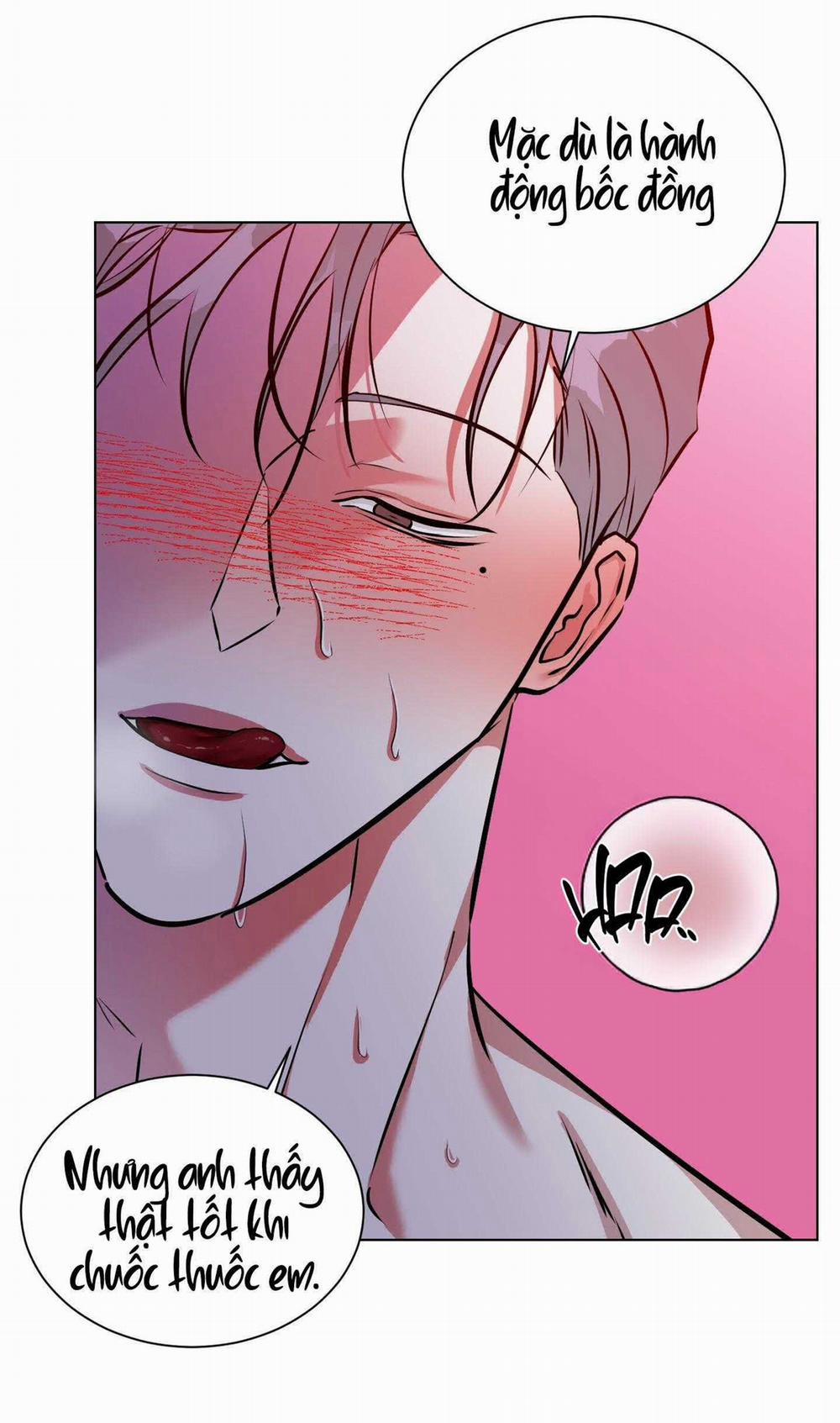 Vực Rắn 25 trang 2