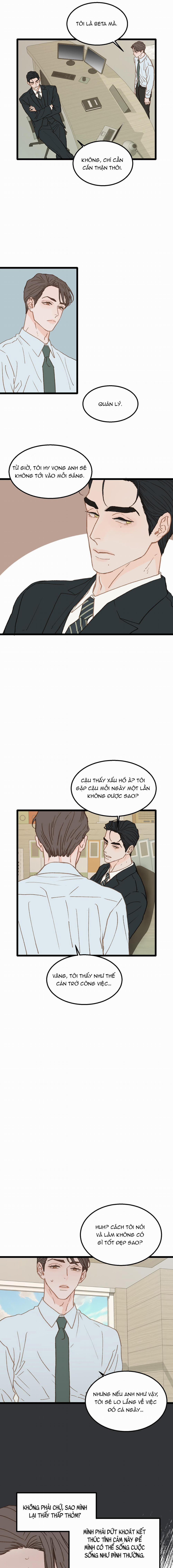 Vùng Cấm Tình Yêu 5 trang 11