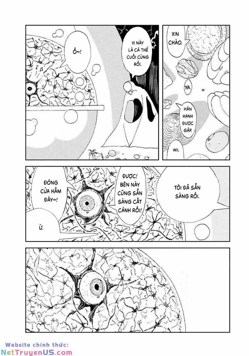 Vùng Đất Của Chiến Binh Bảo Ngọc 105 trang 17