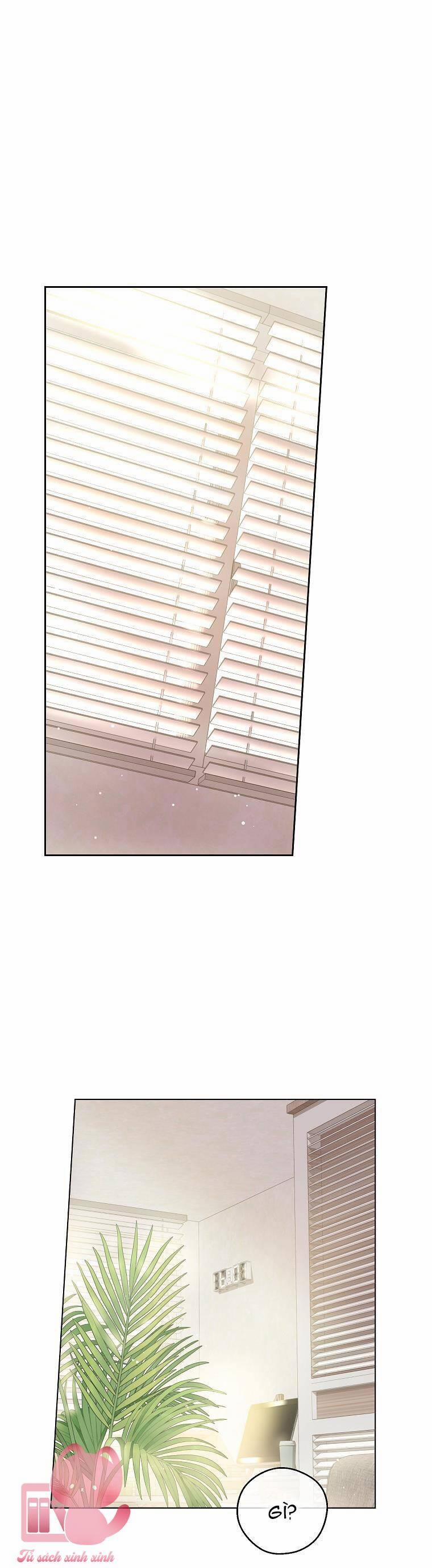 Vùng Đất Rộng Lớn 14 trang 2