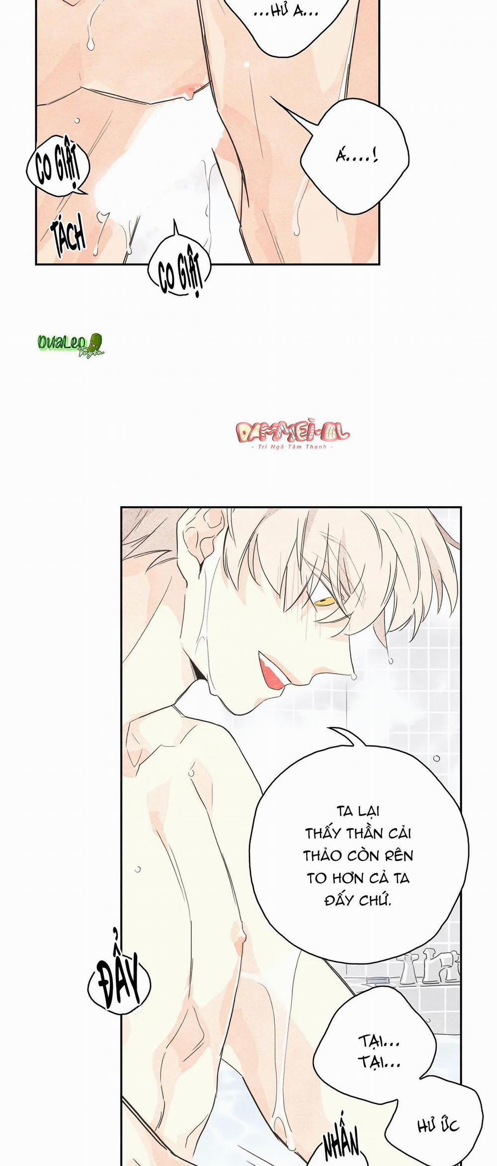 Vườn rau 3 trang 19