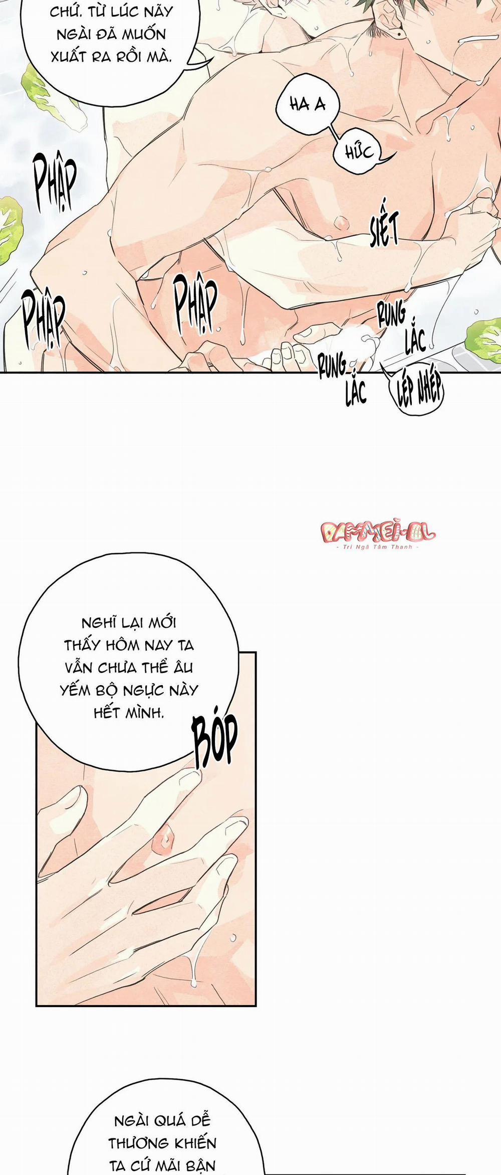 Vườn rau 3 trang 28