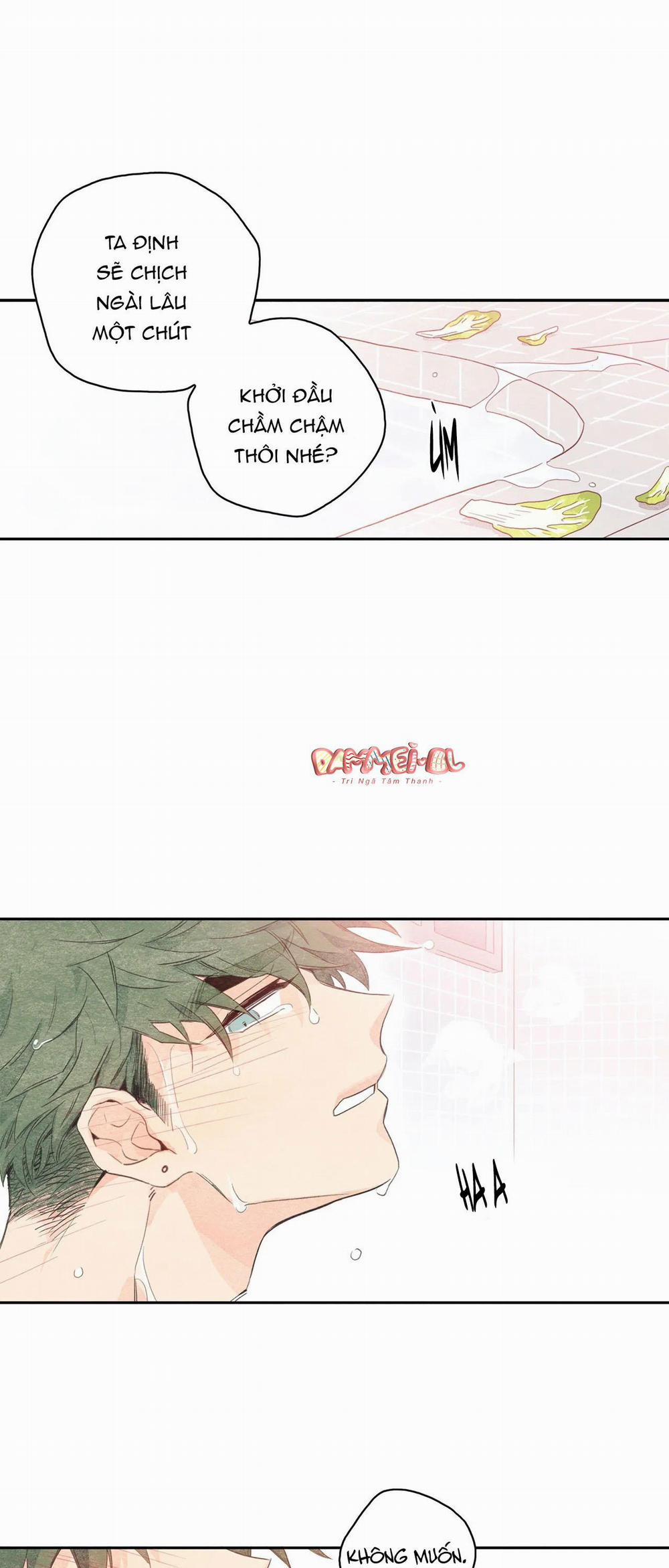 Vườn rau 3 trang 30