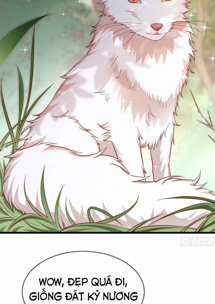 Vương Phi Là Đoá Bạch Liên Hoa 31 trang 19