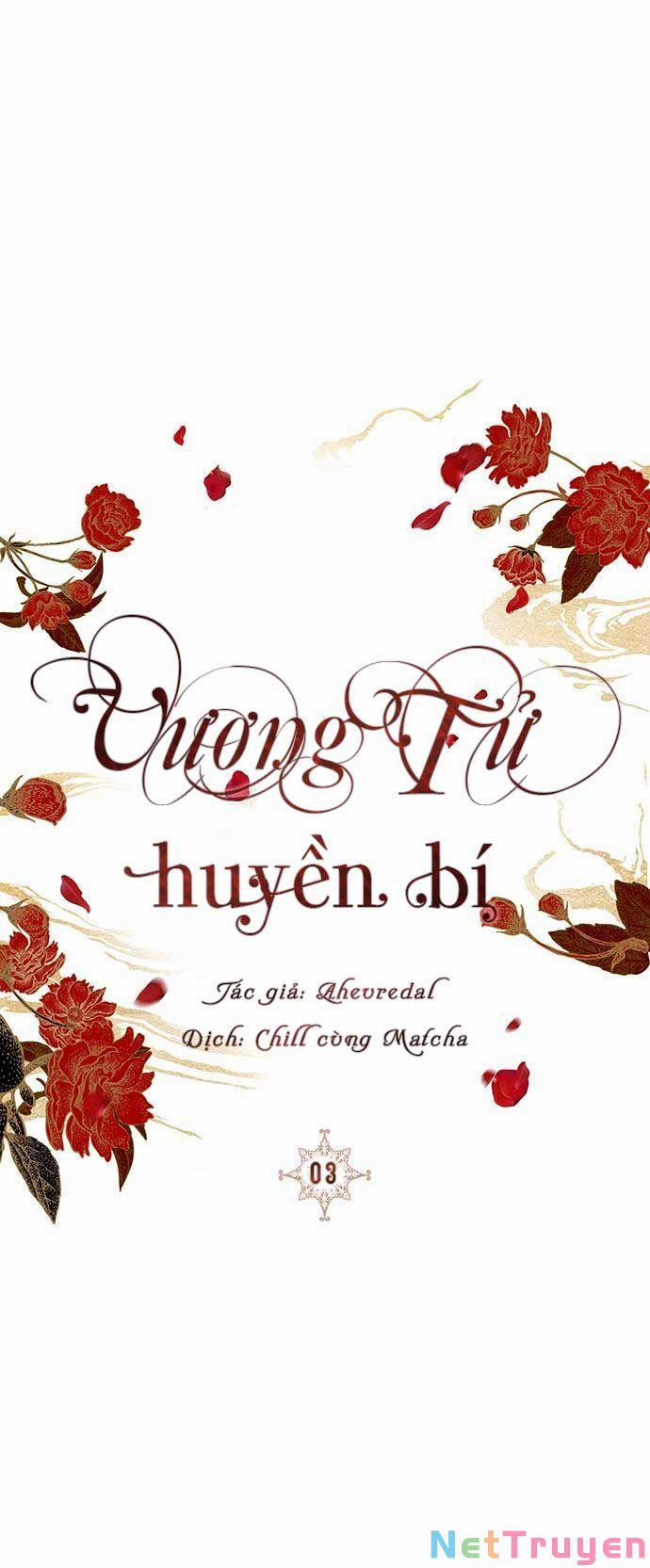 Vương Tử Huyền Bí 3 trang 0