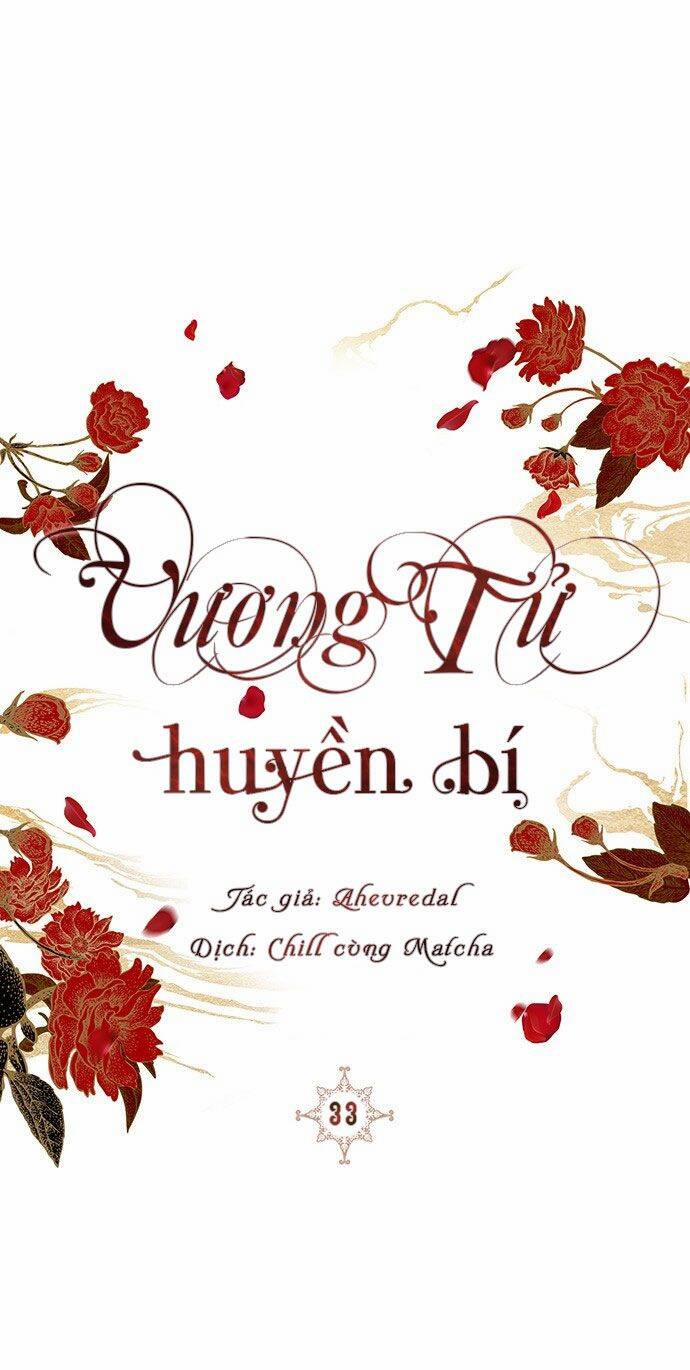 Vương Tử Huyền Bí 33 trang 0