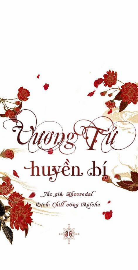 Vương Tử Huyền Bí 36 trang 0