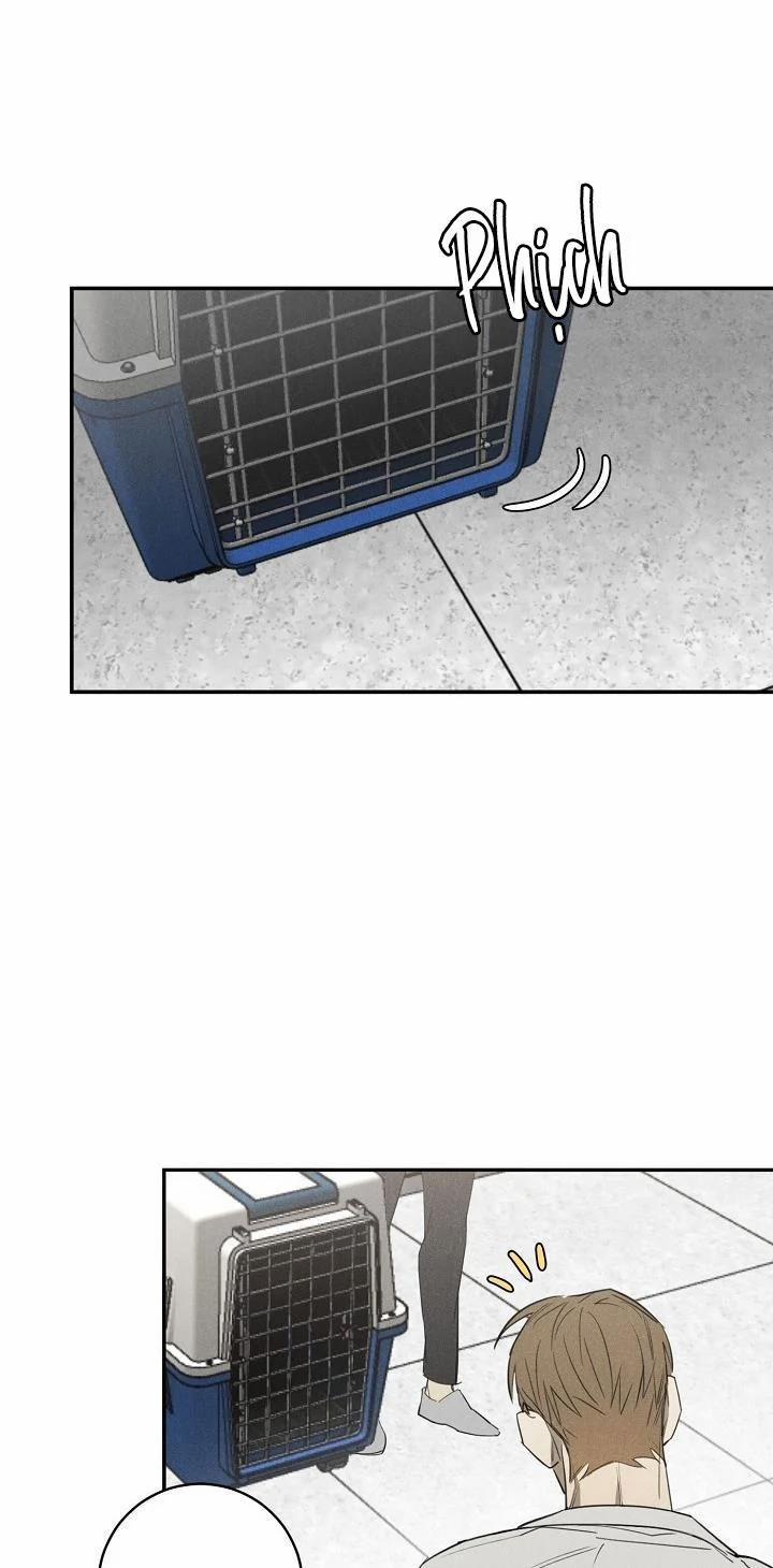 Wander Off 3 trang 9