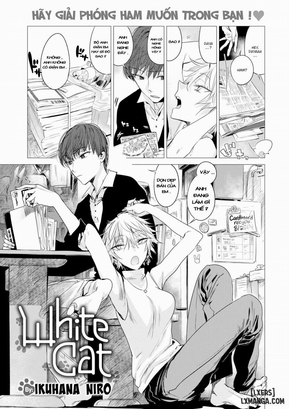 White Cat Oneshot trang 0