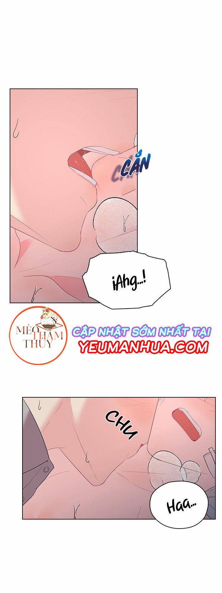 Who’s your daddy 35 trang 7