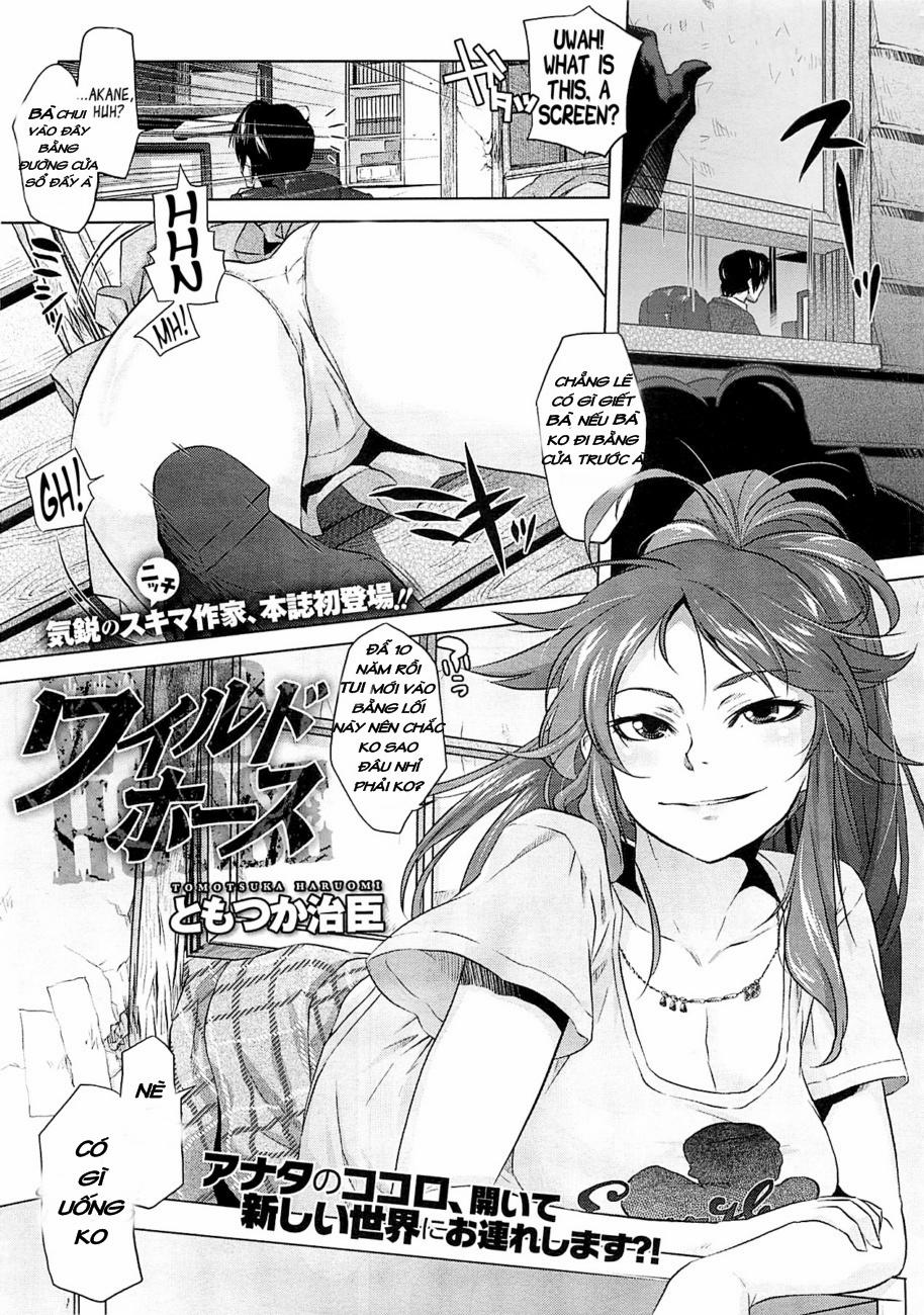 Wild hourse Oneshot trang 0