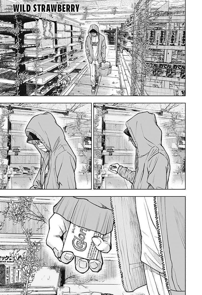 Wild Strawberry (Dpmanga) 1 trang 0