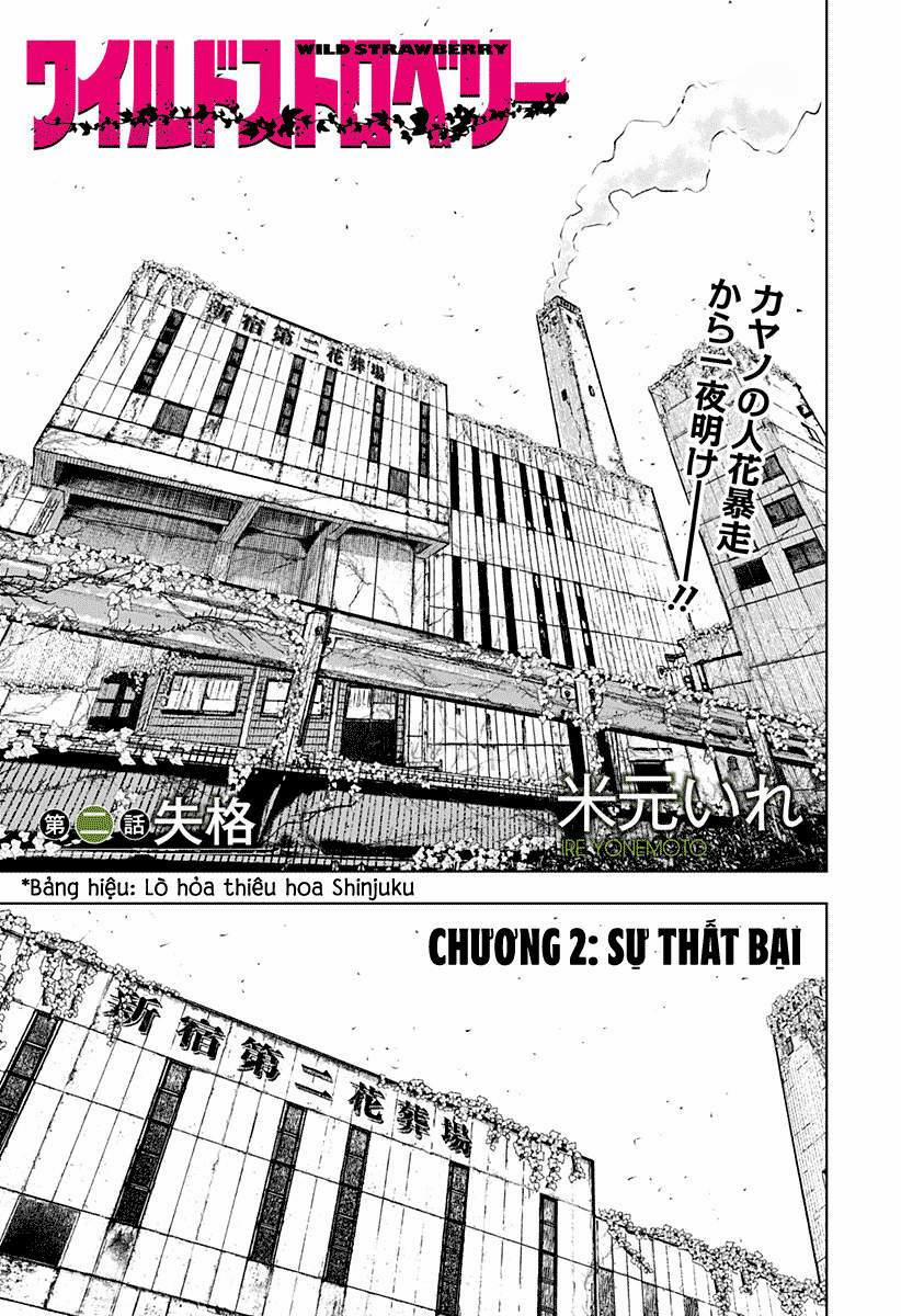 Wild Strawberry (Dpmanga) 2 trang 0