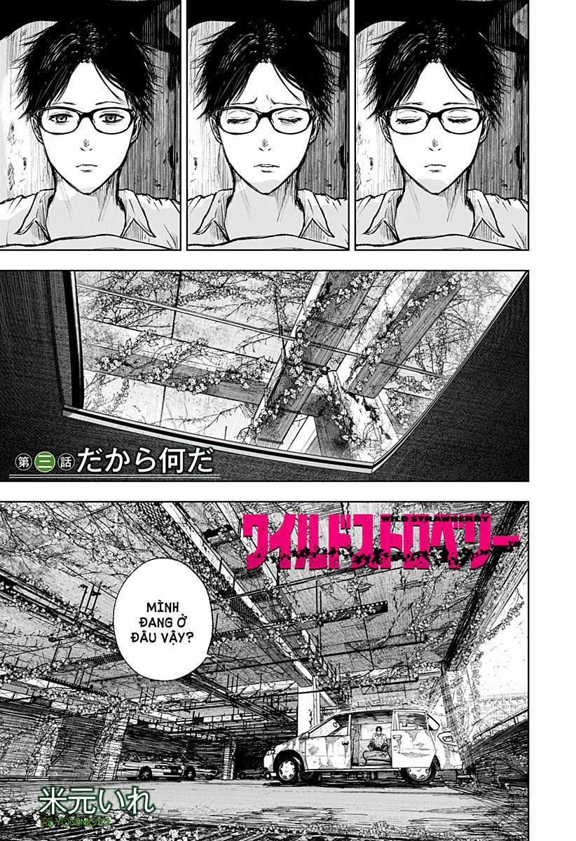 Wild Strawberry (Dpmanga) 3 trang 0