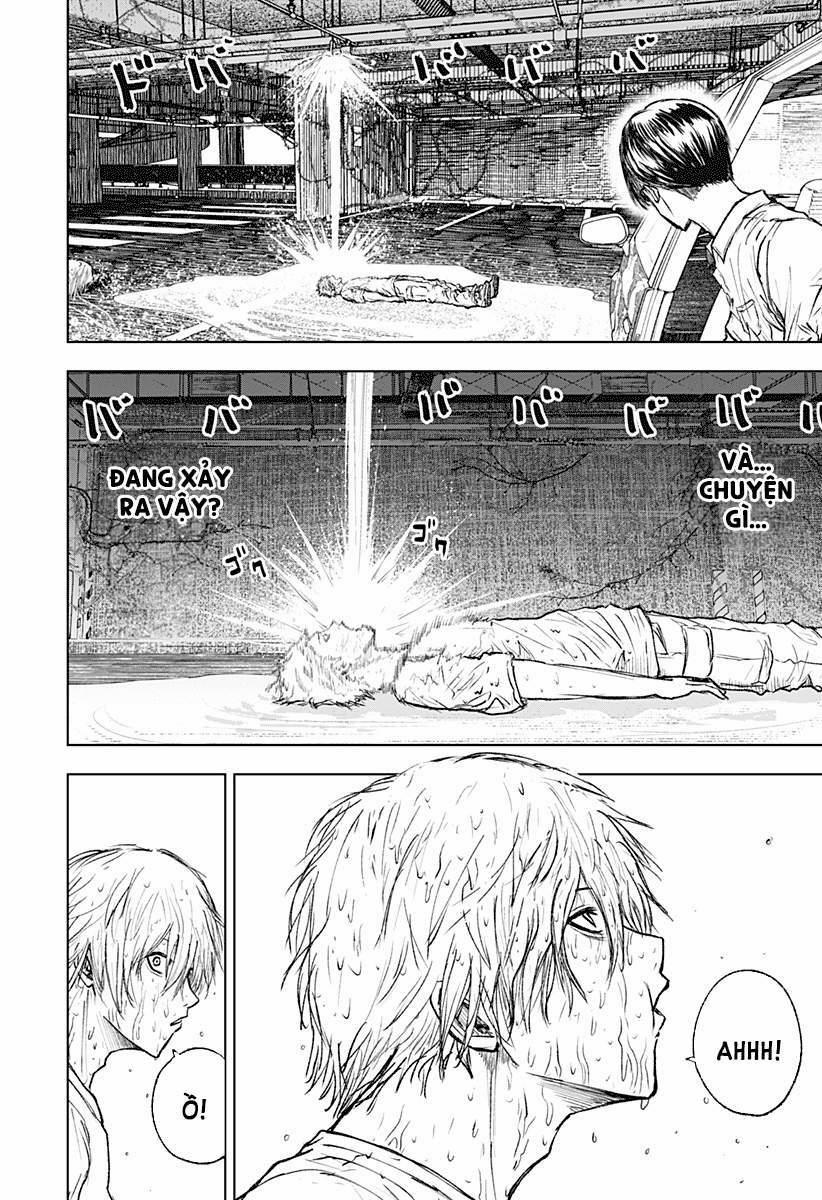 Wild Strawberry (Dpmanga) 3 trang 1
