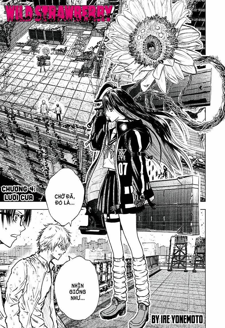 Wild Strawberry (Dpmanga) 4 trang 0