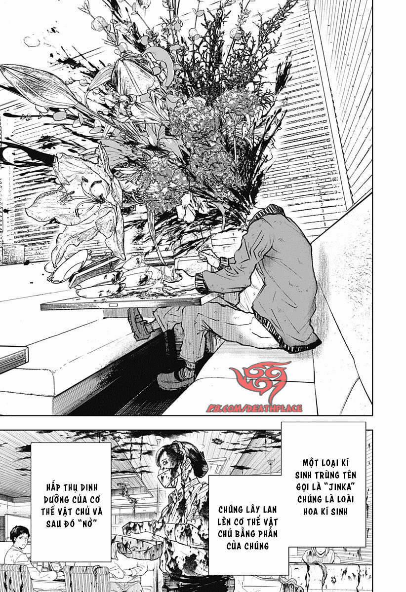 Wild Strawberry 1 trang 12