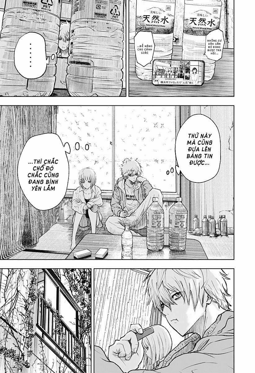 Wild Strawberry 1 trang 14