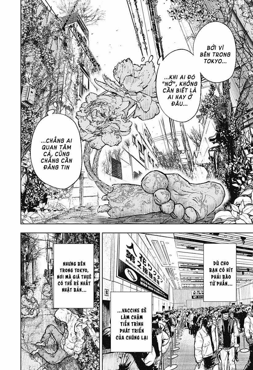 Wild Strawberry 1 trang 15