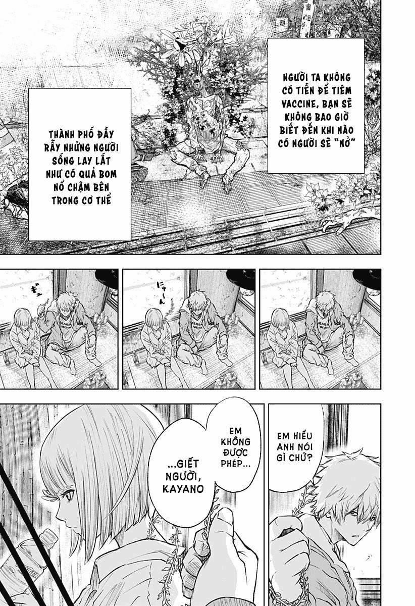 Wild Strawberry 1 trang 16