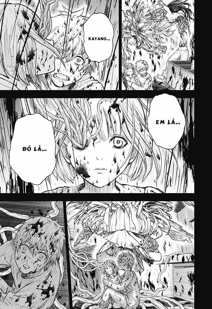 Wild Strawberry 1 trang 30