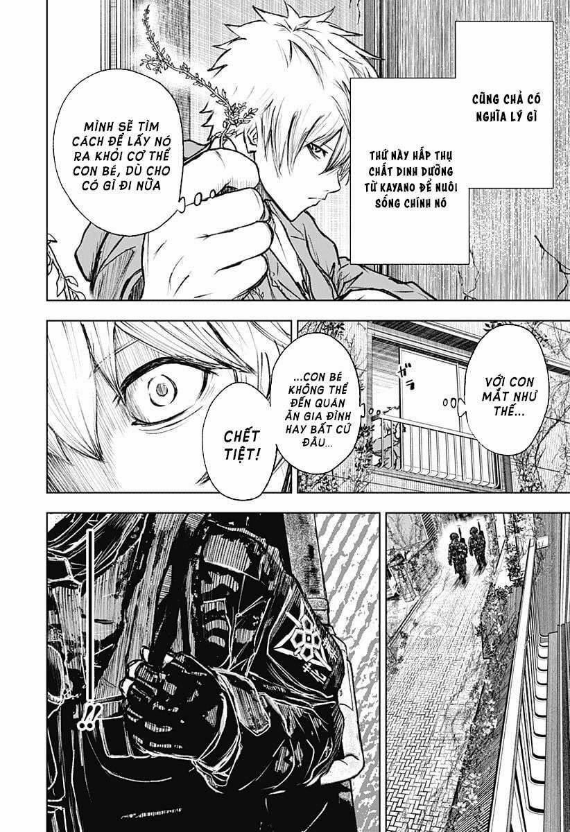 Wild Strawberry 1 trang 35