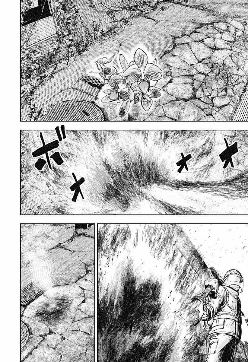 Wild Strawberry 1 trang 41