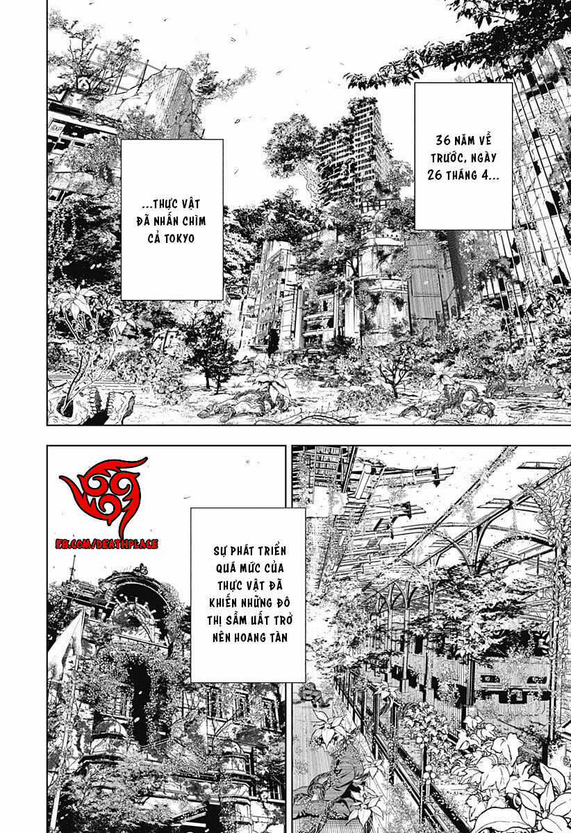 Wild Strawberry 1 trang 5