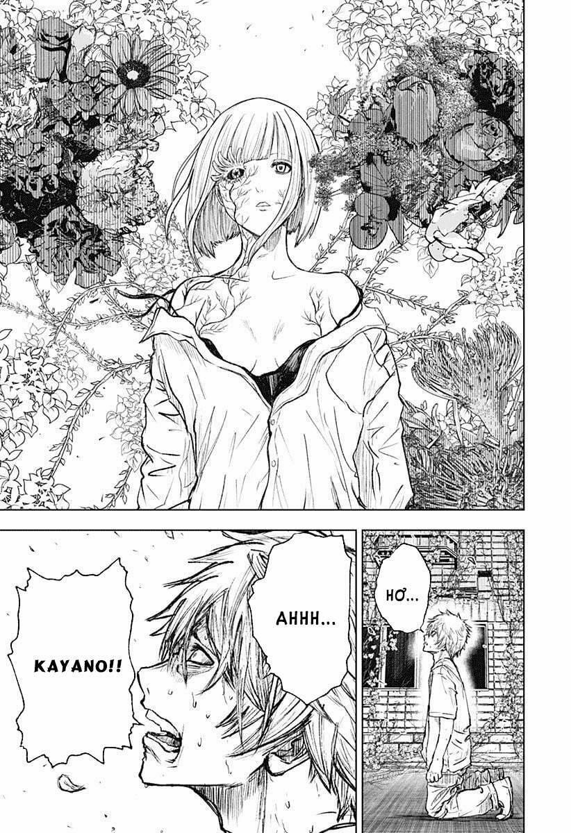 Wild Strawberry 1 trang 50