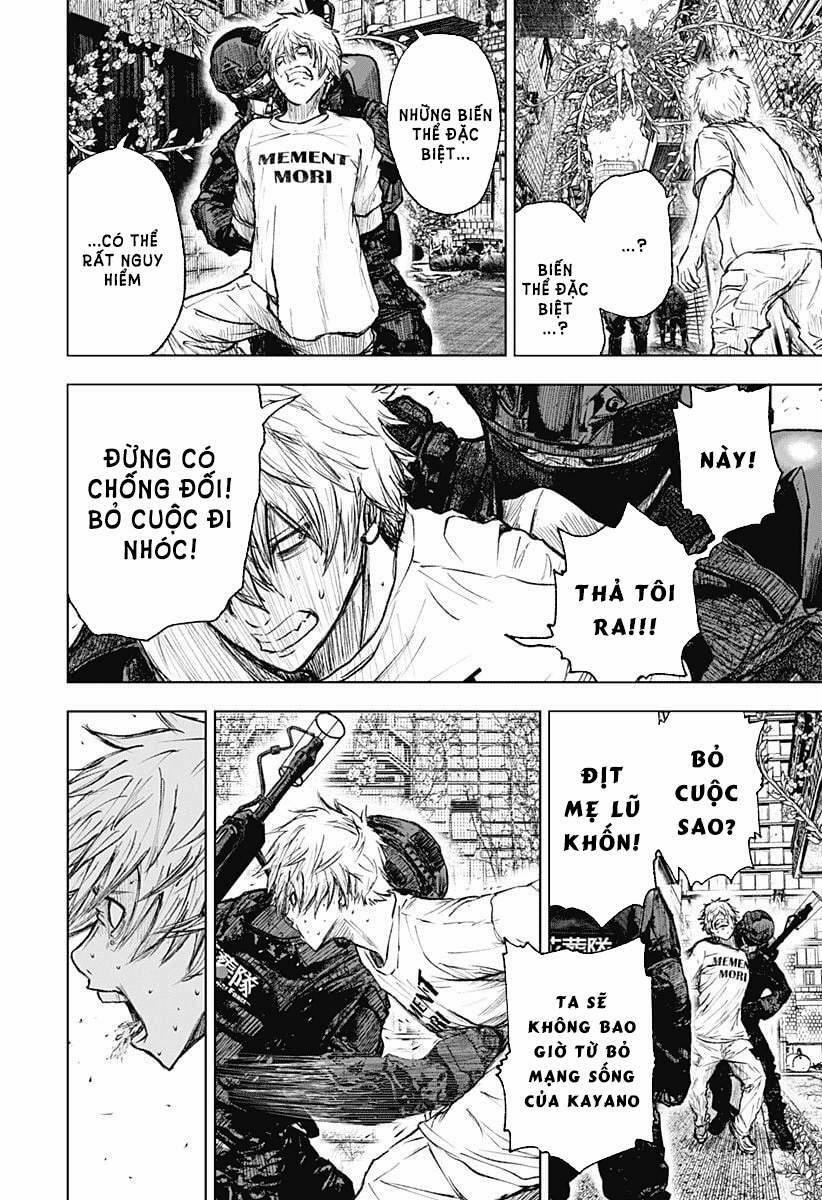 Wild Strawberry 1 trang 55