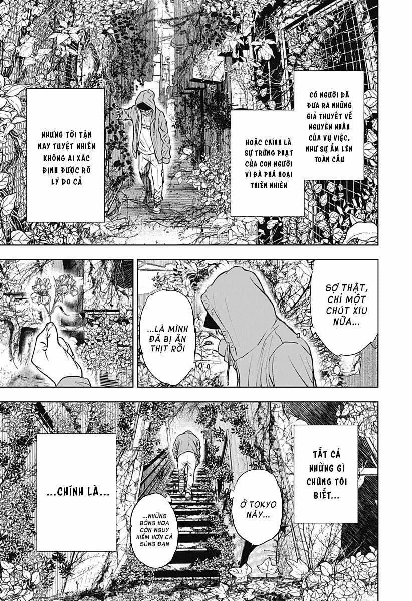 Wild Strawberry 1 trang 6