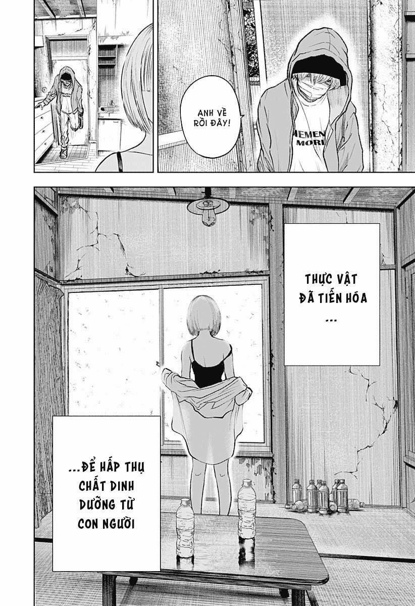 Wild Strawberry 1 trang 7