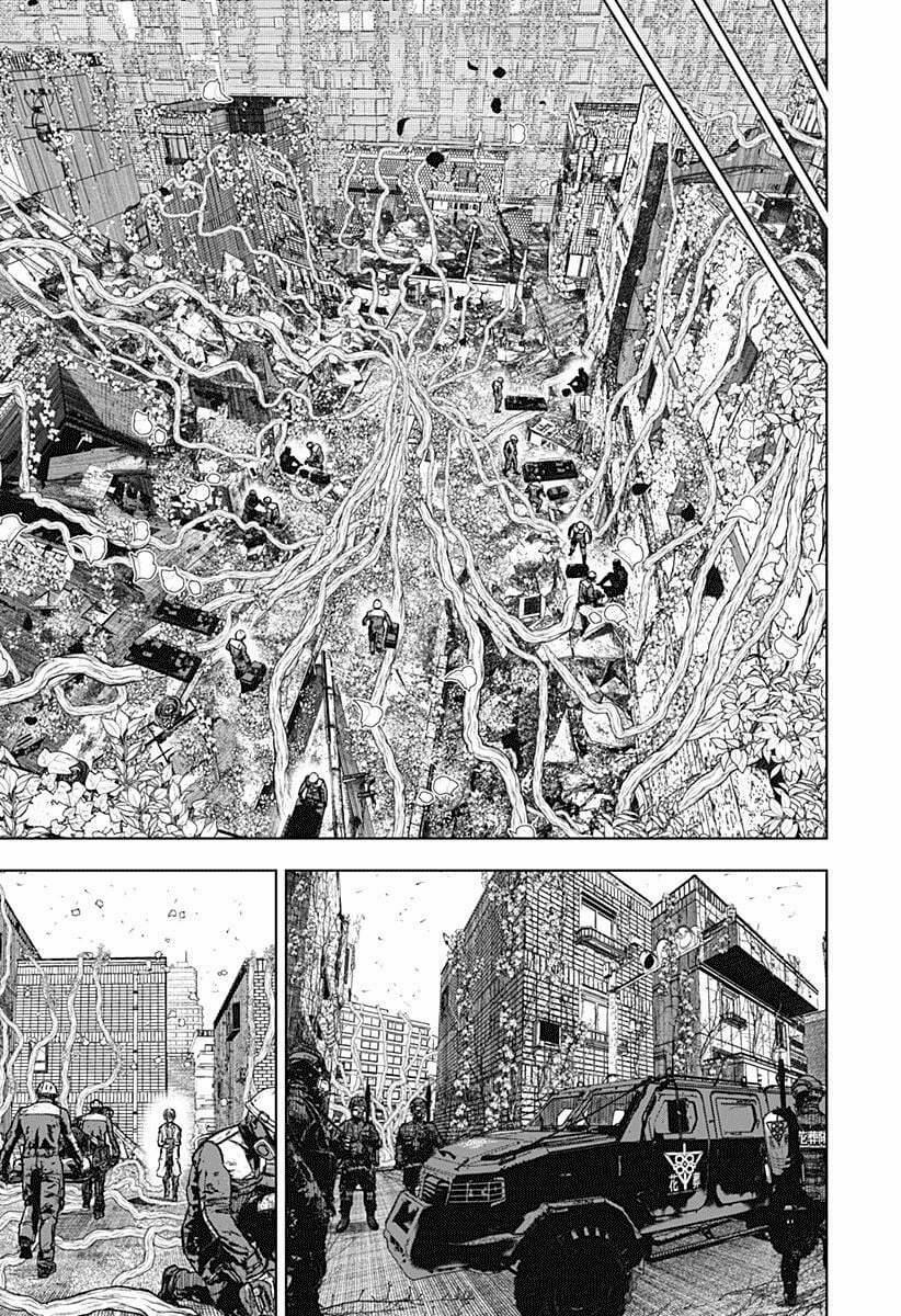 Wild Strawberry 1 trang 75