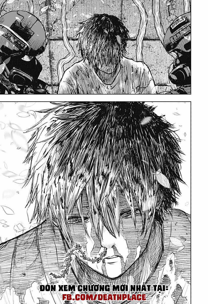 Wild Strawberry 1 trang 79