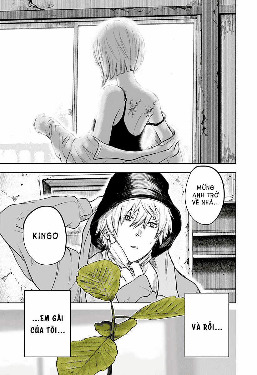 Wild Strawberry 1 trang 8